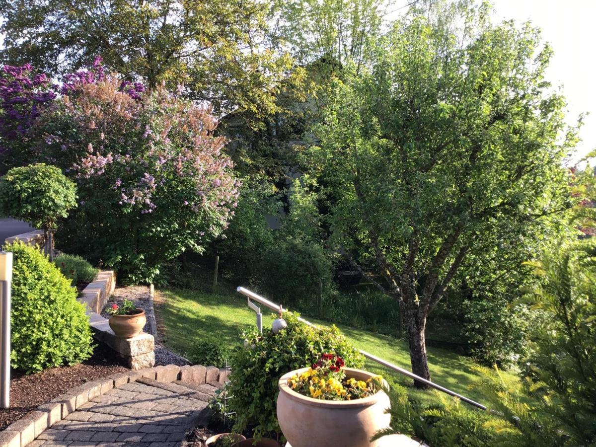 Ferienwohnung Zum Harpelstein Horath エクステリア 写真