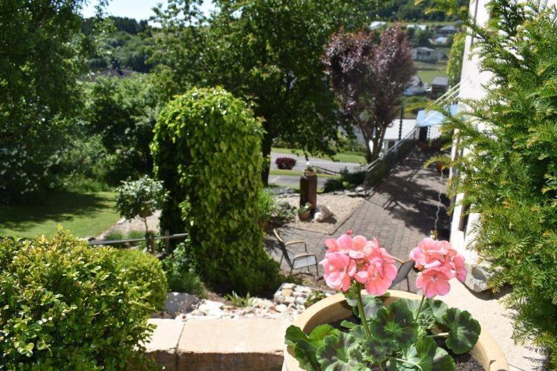 Ferienwohnung Zum Harpelstein Horath エクステリア 写真