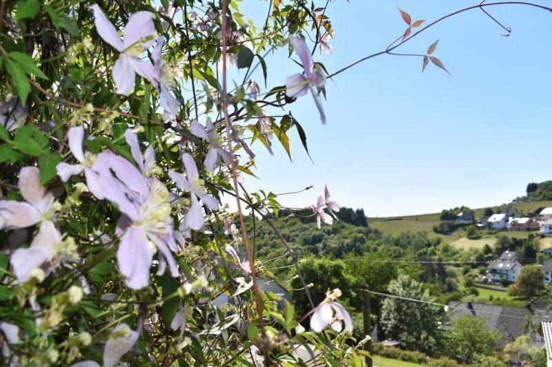 Ferienwohnung Zum Harpelstein Horath エクステリア 写真