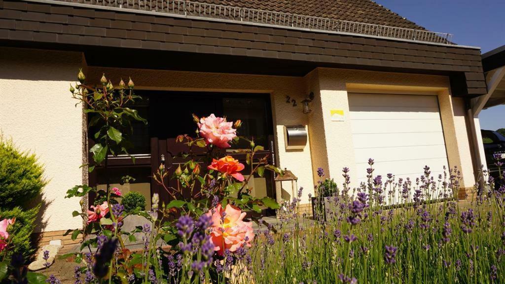 Ferienwohnung Zum Harpelstein Horath エクステリア 写真